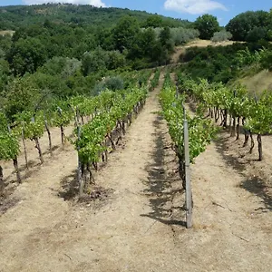 Casa vacanze La Collina Di Piero, Sansepolcro